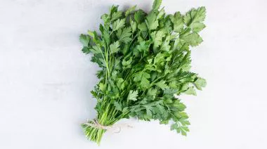 garnishing-instructions-image